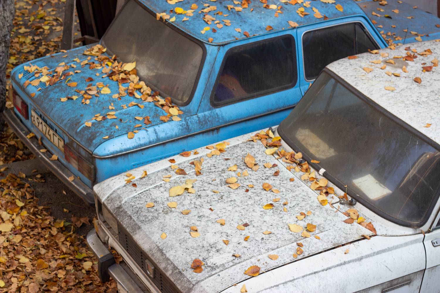 Junk Cars